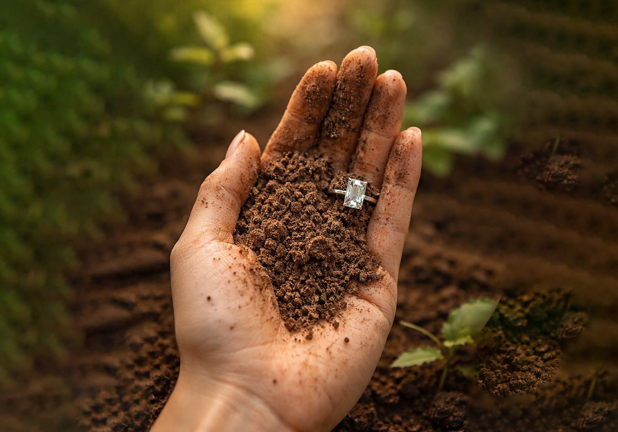 Hand holding soil with a diamond ring